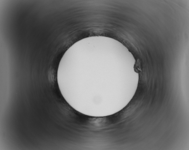 X0000096140135200802151342