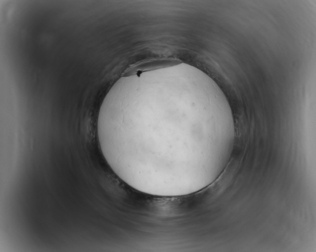 X0000096140136200802151342