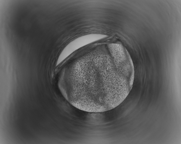 X0000096140137200802151342