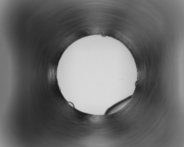 X0000096140142200802151342