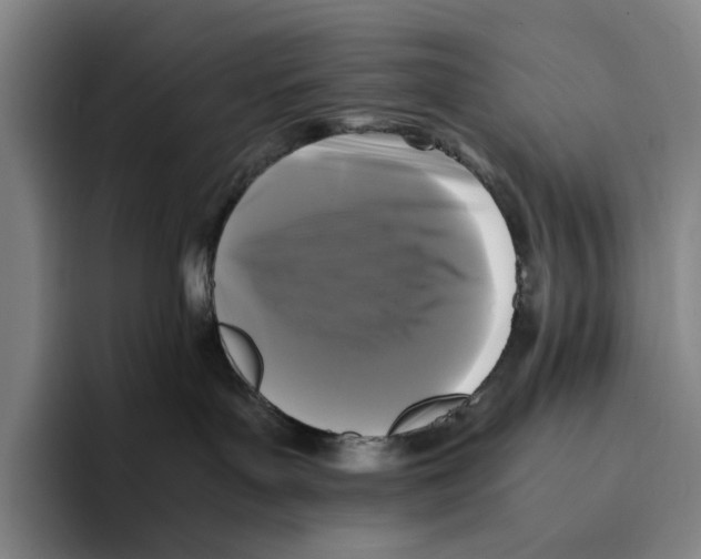 X0000096140143200802151342