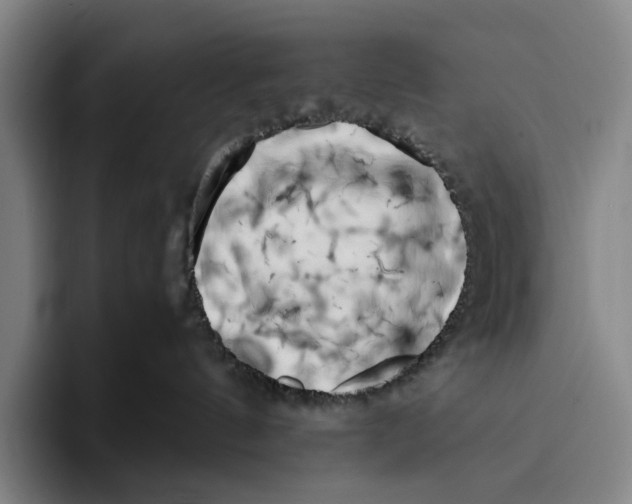 X0000096140144200802151342