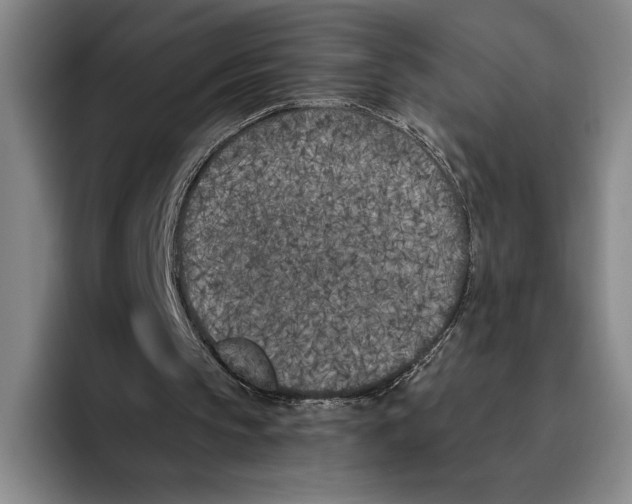 X0000096140145200802151341