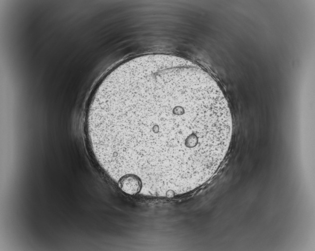 X0000096140146200802151341