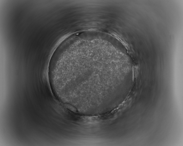 X0000096140147200802151341