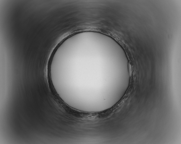 X0000096140148200802151341