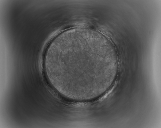 X0000096140149200802151341