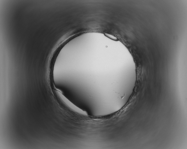 X0000096140150200802151341