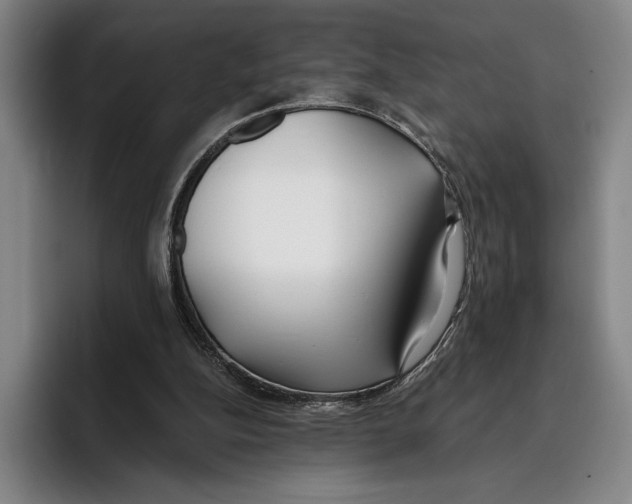 X0000096140152200802151341