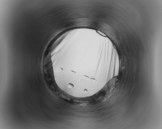 X0000096140156200802151341