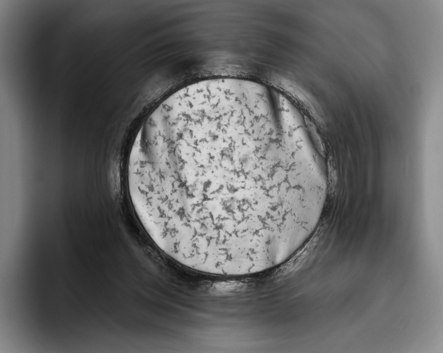 X0000096140158200802151341
