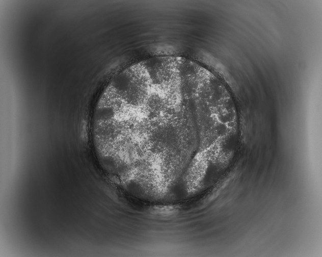 X0000096140161200802151341