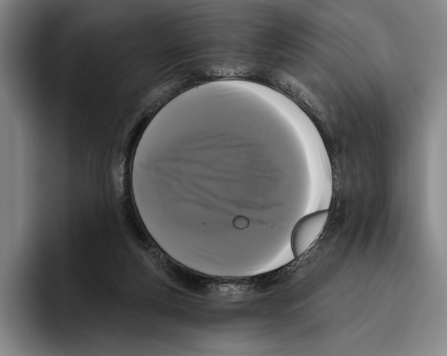 X0000096140163200802151341
