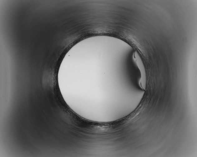 X0000096140164200802151341