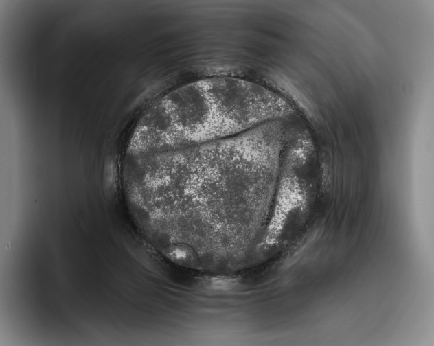 X0000096140165200802151341