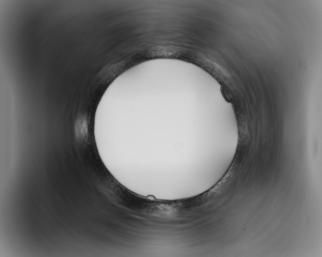 X0000096140166200802151341