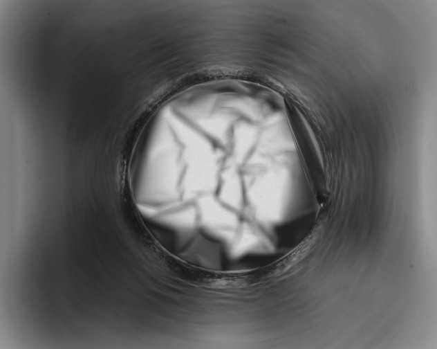X0000096140168200802151341