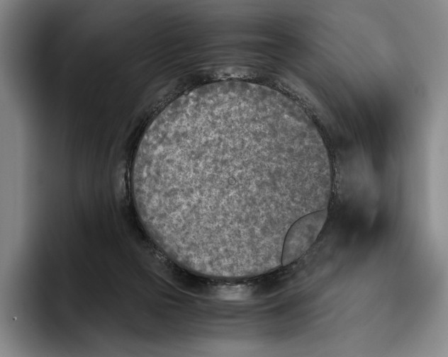 X0000096140169200802151341