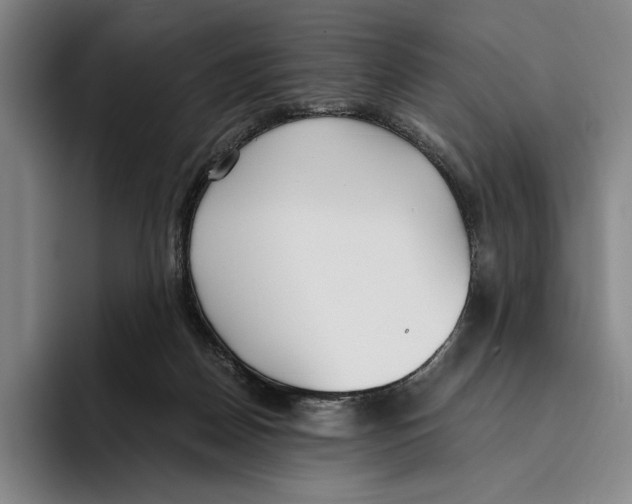 X0000096140170200802151341