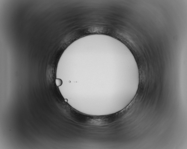 X0000096140171200802151341