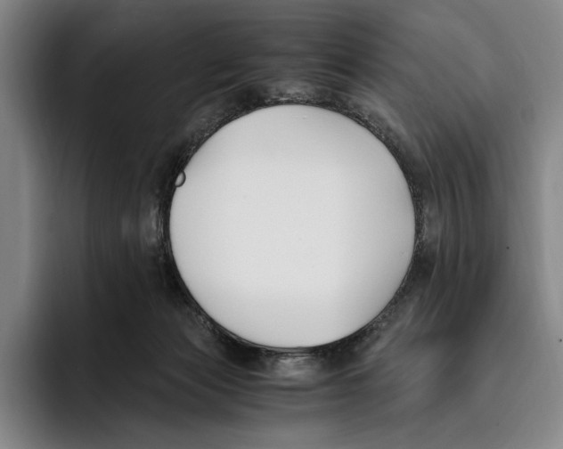 X0000096140173200802151341
