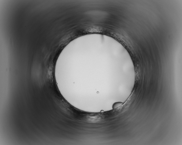 X0000096140175200802151341