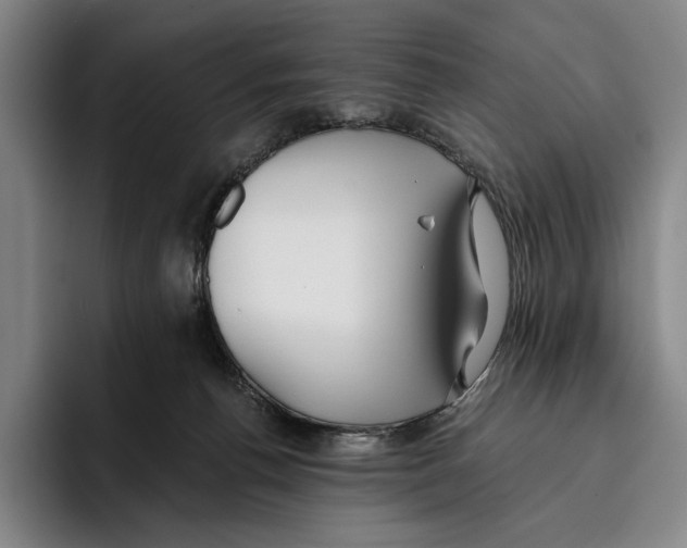 X0000096140176200802151341