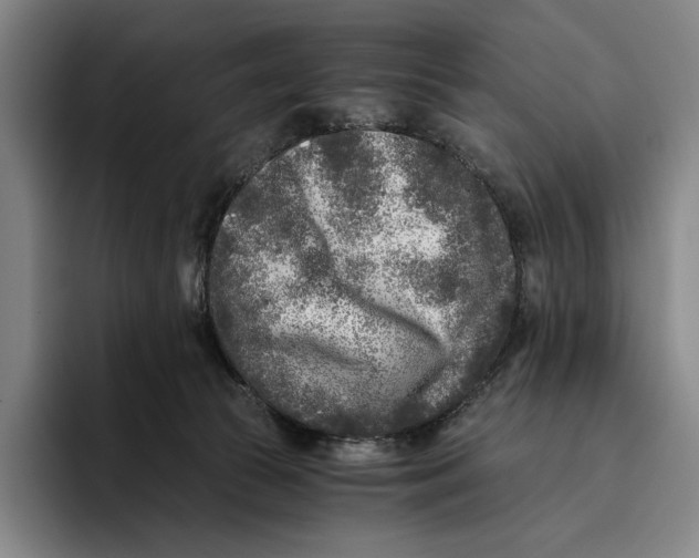 X0000096140177200802151341