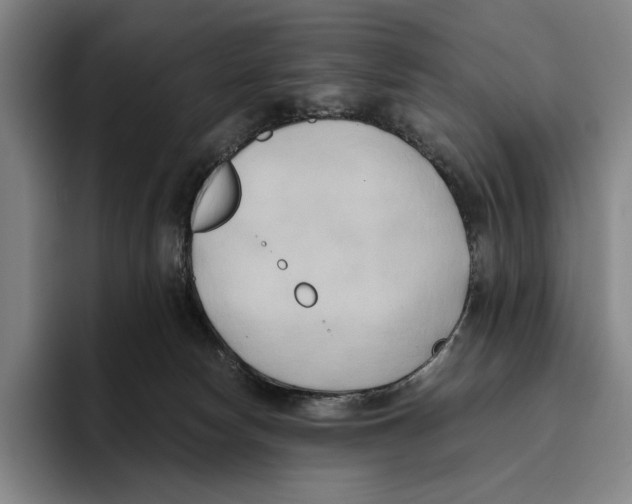 X0000096140178200802151341