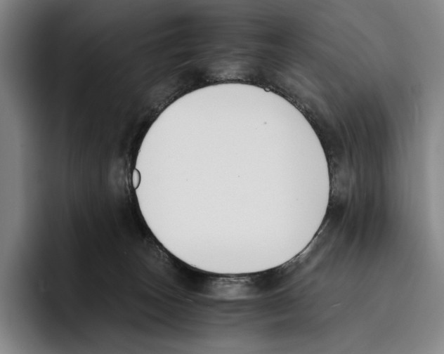 X0000096140179200802151341