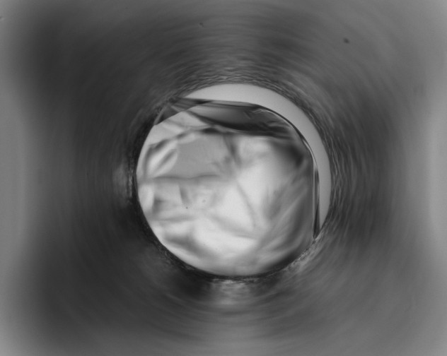 X0000096140180200802151341