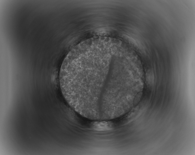 X0000096140181200802151341