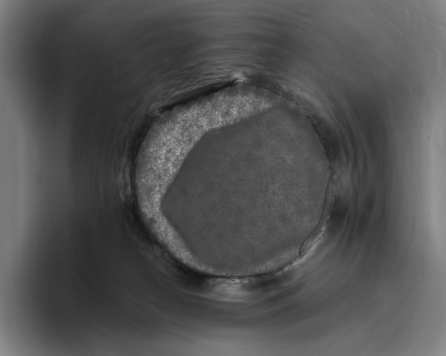 X0000096140182200802151341