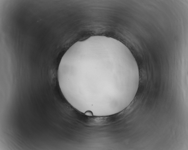 X0000096140184200802151341