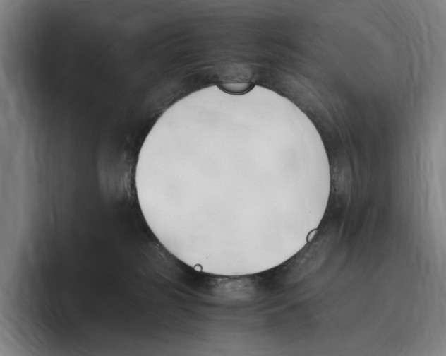 X0000096140185200802151341