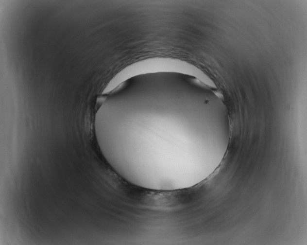 X0000096140186200802151341