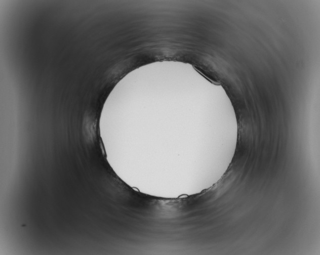 X0000096140188200802151342