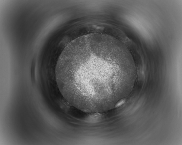 X0000096140189200802151342