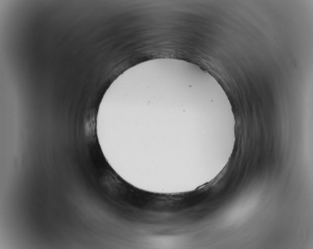 X0000096140190200802151342