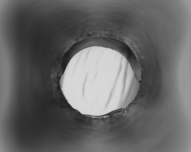 X0000096140192200802151342