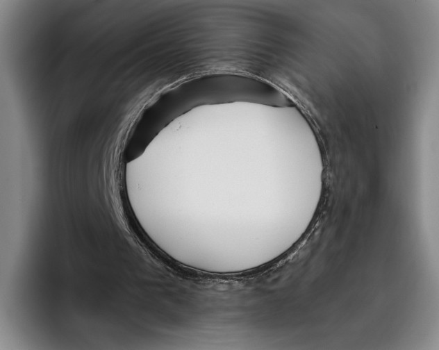 X0000096140193200802151341
