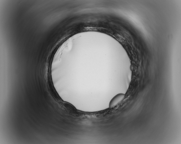 X0000096140194200802151341