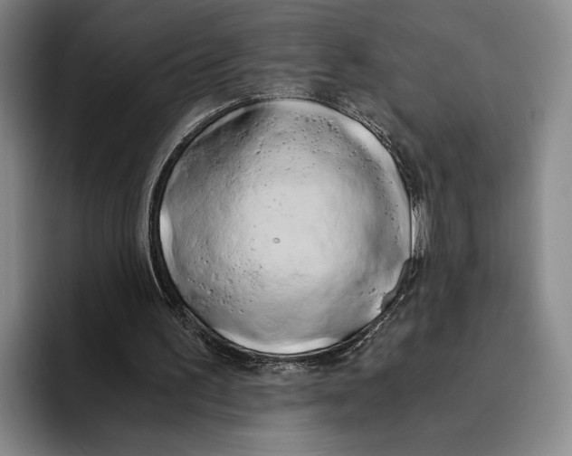 X0000096140195200802151341