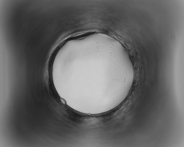 X0000096140198200802151341