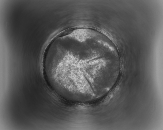 X0000096140199200802151341