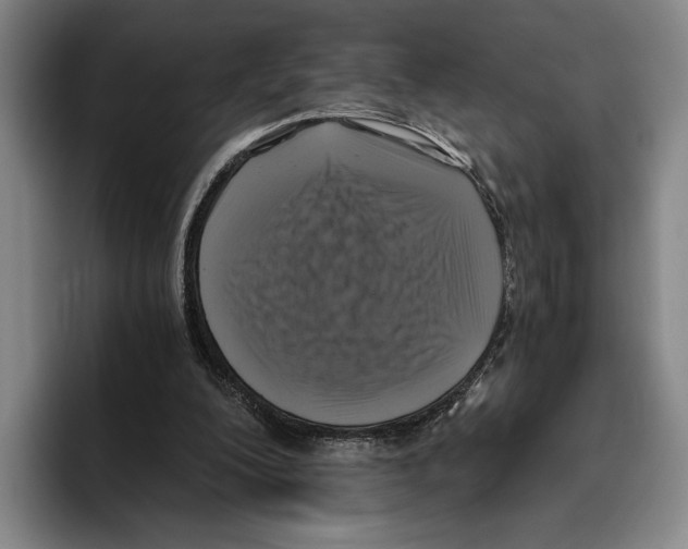 X0000096140200200802151341