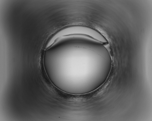 X0000096140201200802151341