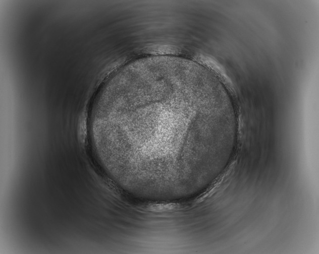 X0000096140202200802151341