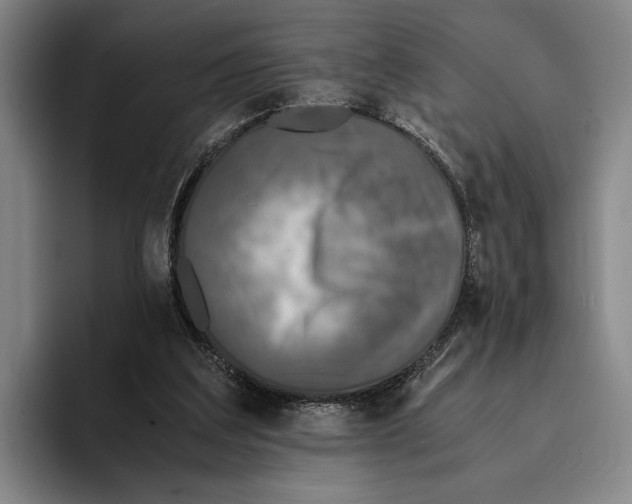 X0000096140203200802151341