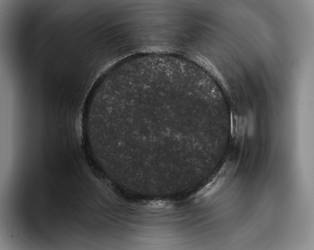 X0000096140204200802151341